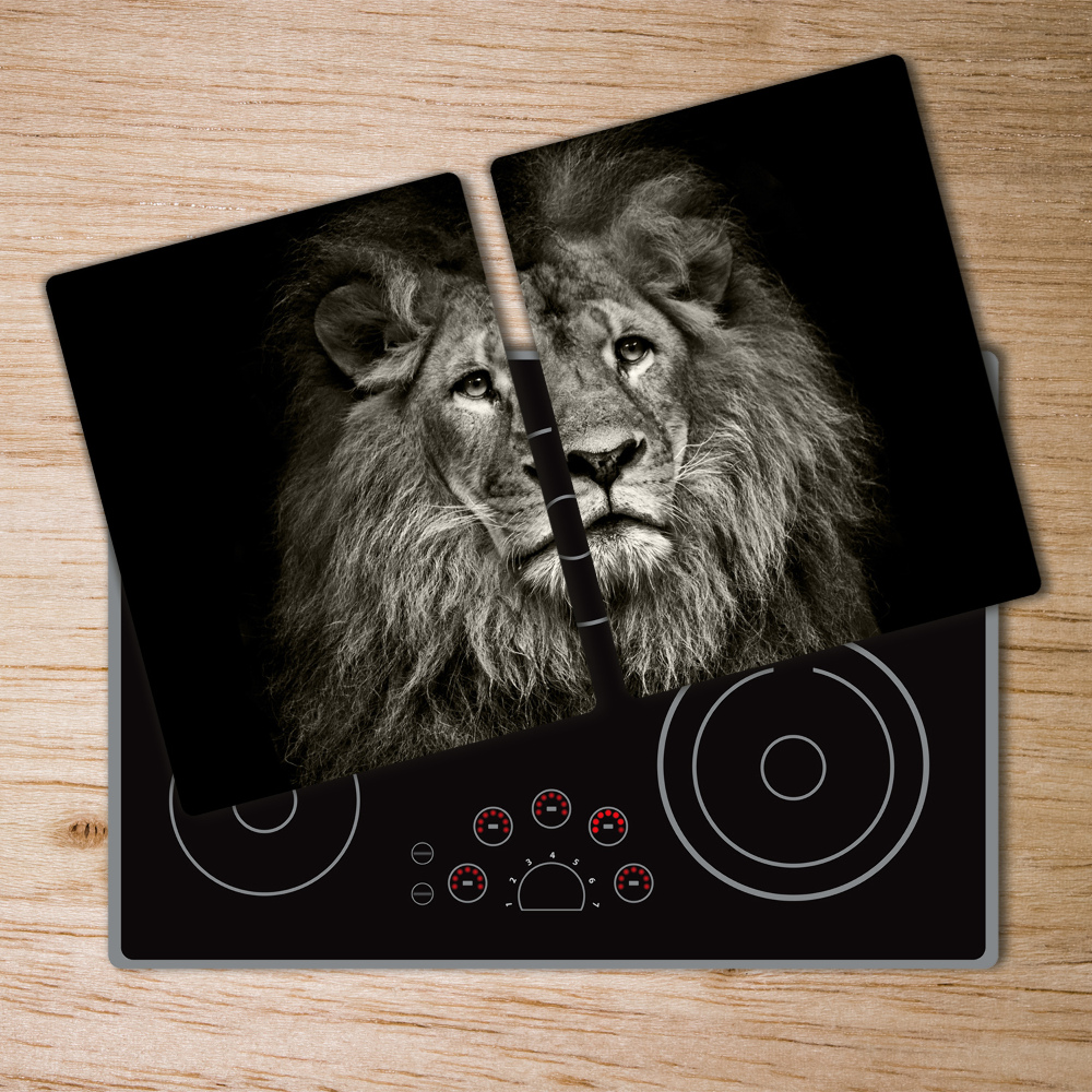 Protection plaque induction Portrait d'un lion