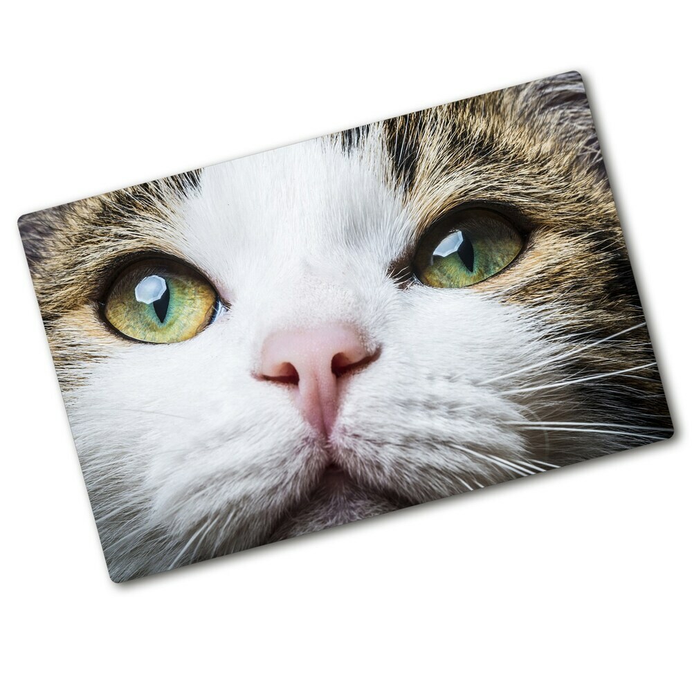 Protection plaque induction Yeux verts d'un chat