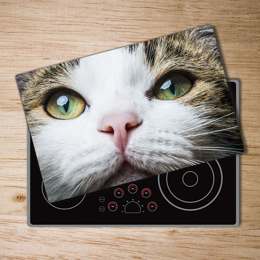 Protection plaque induction Yeux verts d'un chat