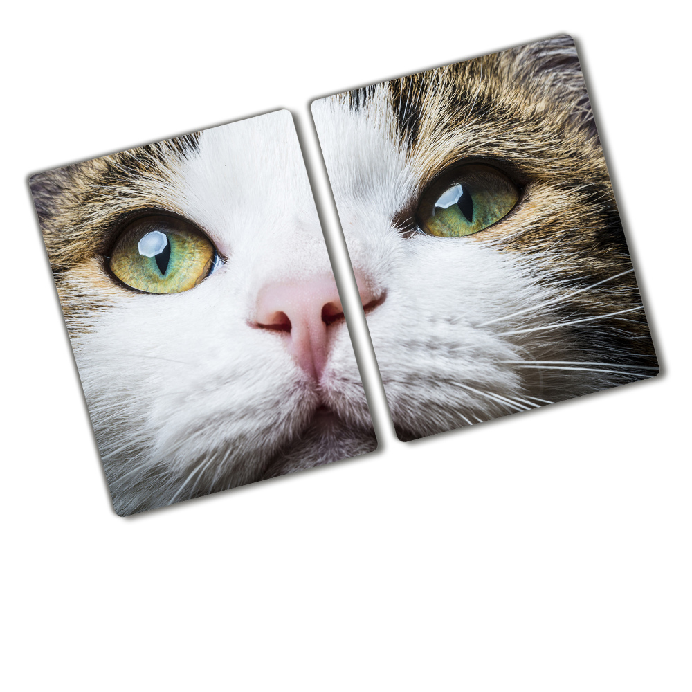 Protection plaque induction Yeux verts d'un chat