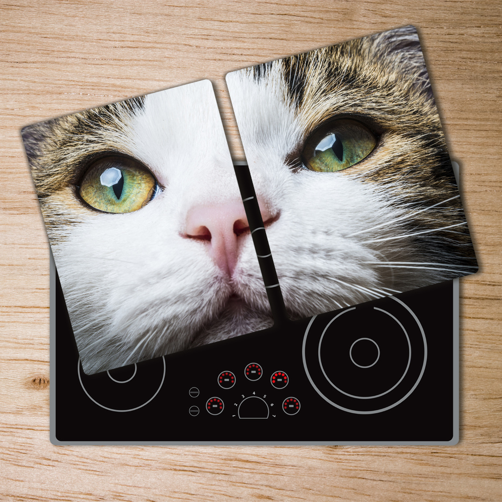 Protection plaque induction Yeux verts d'un chat