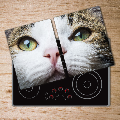 Protection plaque induction Yeux verts d'un chat