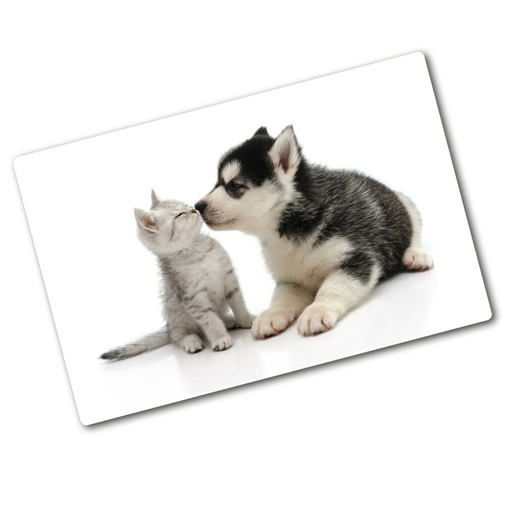 Protection plaque induction Chien et chat