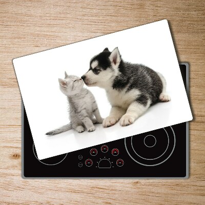 Protection plaque induction Chien et chat