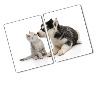 Protection plaque induction Chien et chat