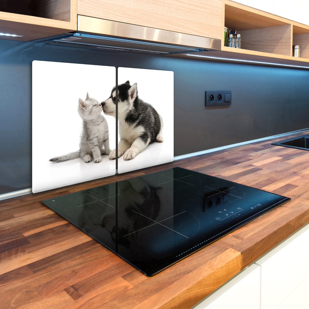 Protection plaque induction Chien et chat