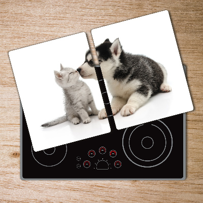 Protection plaque induction Chien et chat