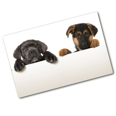 Protection plaque induction Trois chiots