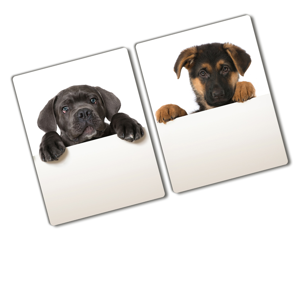 Protection plaque induction Trois chiots