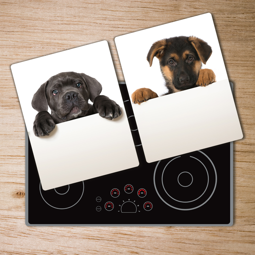 Protection plaque induction Trois chiots