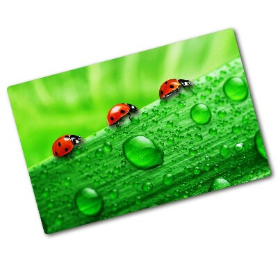 Protection plaque induction Coccinelles sur l'herbe