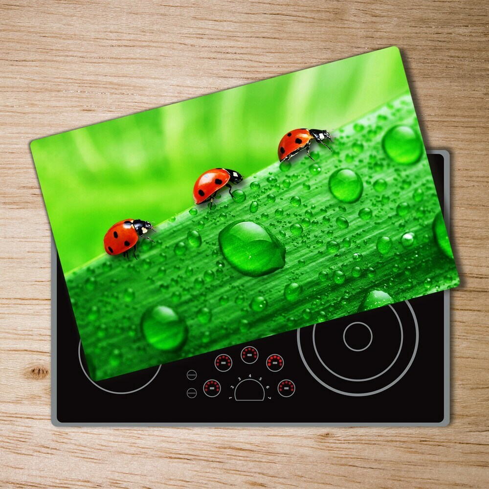 Protection plaque induction Coccinelles sur l'herbe