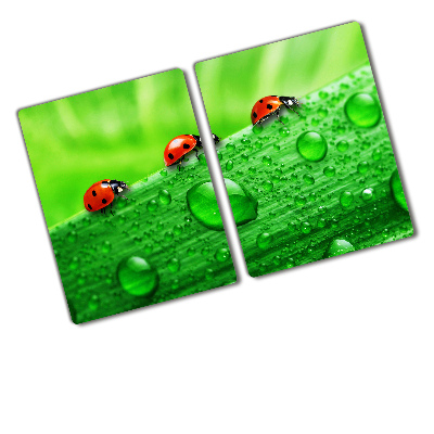 Protection plaque induction Coccinelles sur l'herbe