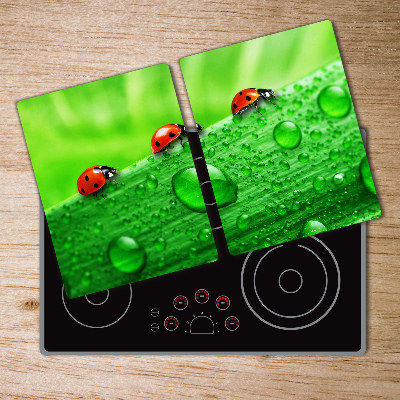 Protection plaque induction Coccinelles sur l'herbe