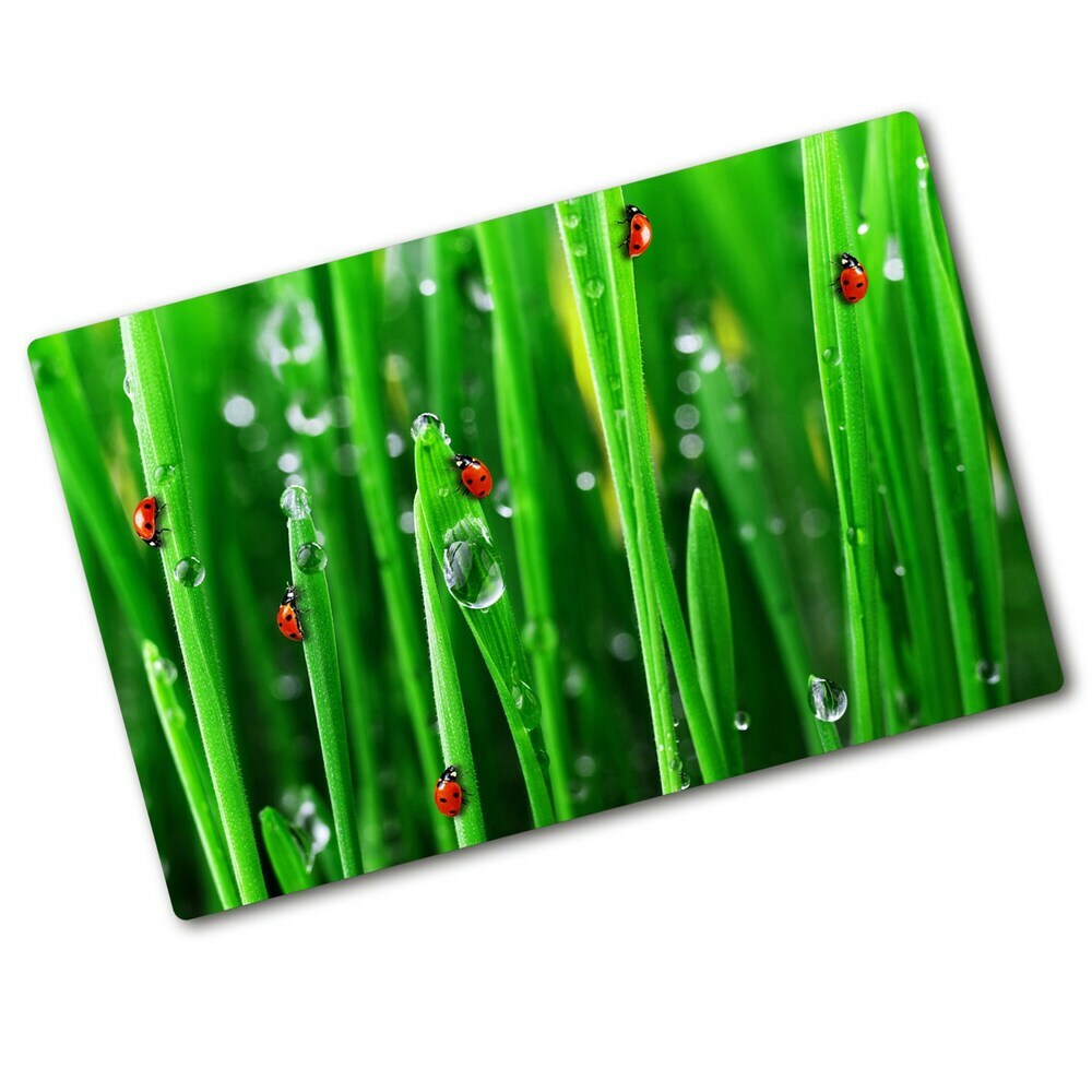 Protection pour plaque de cuisson Coccinelles sur l'herbe