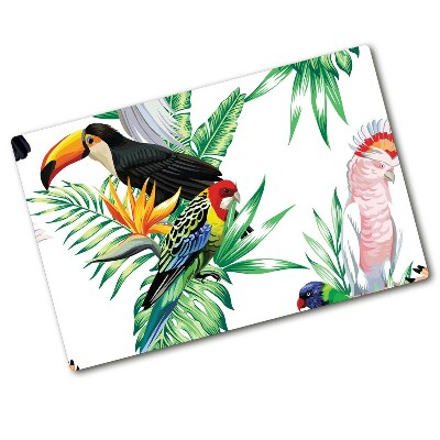 Protection plaque induction Oiseaux tropicaux