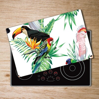 Protection plaque induction Oiseaux tropicaux