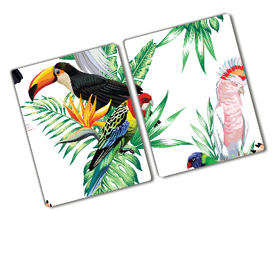 Protection plaque induction Oiseaux tropicaux