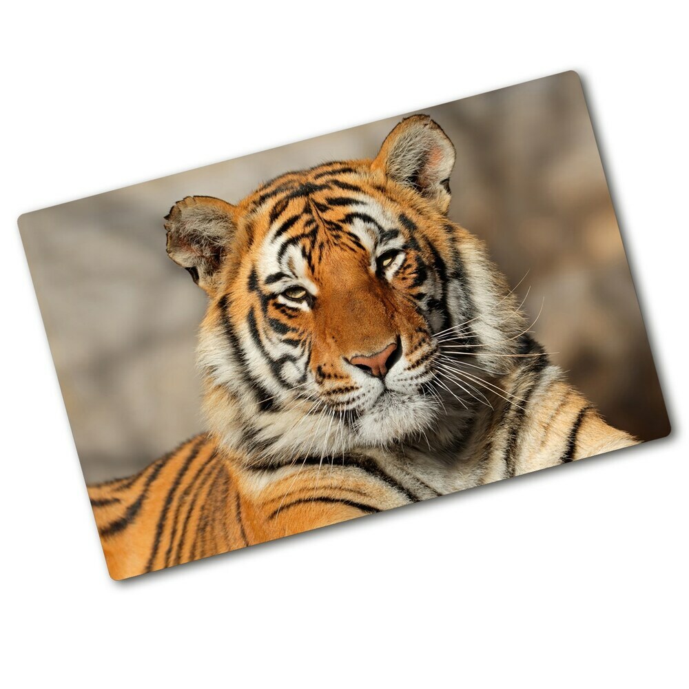 Protection plaque induction Tigre du Bengale