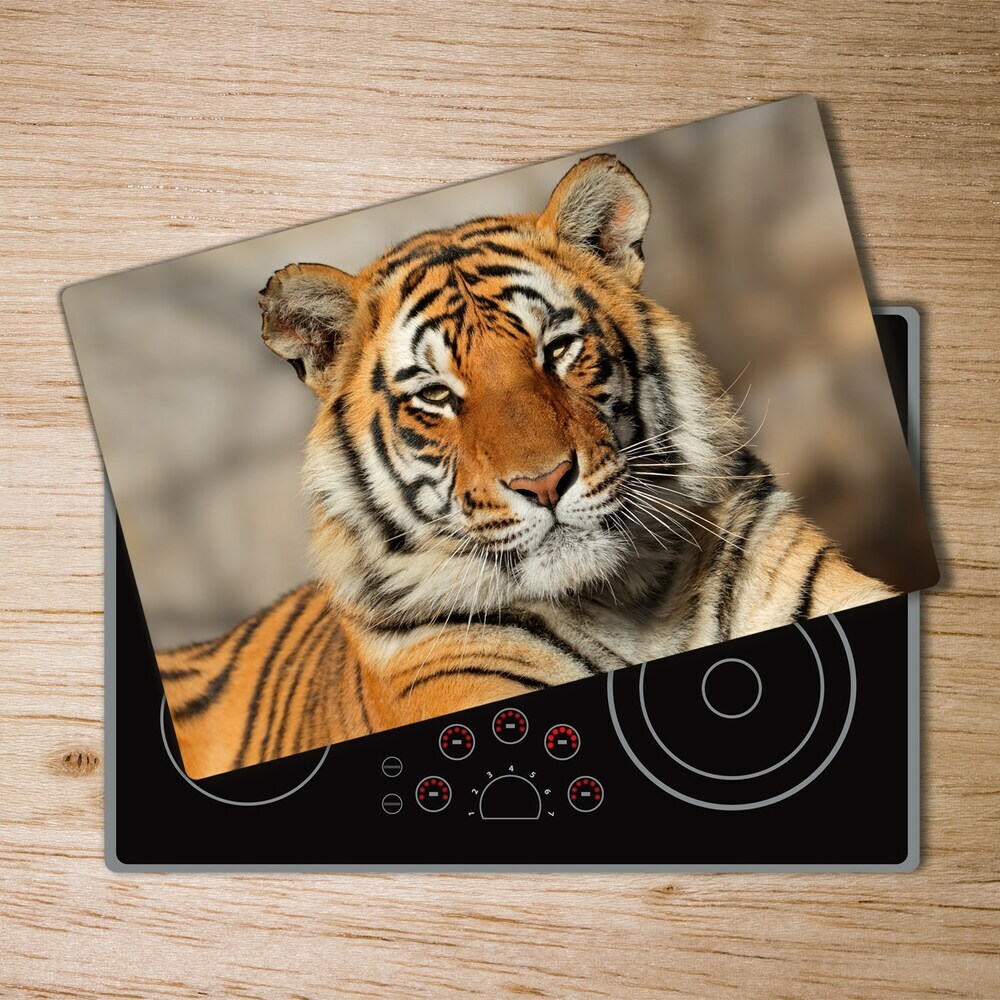 Protection plaque induction Tigre du Bengale