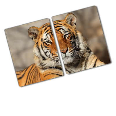 Protection plaque induction Tigre du Bengale