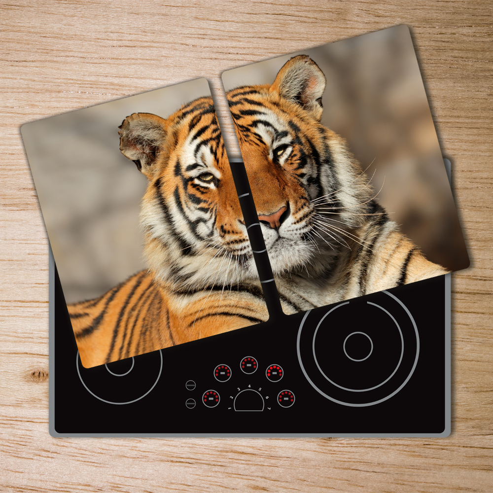 Protection plaque induction Tigre du Bengale