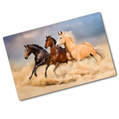 Protection plaque induction Chevaux au galop