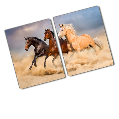 Protection plaque induction Chevaux au galop