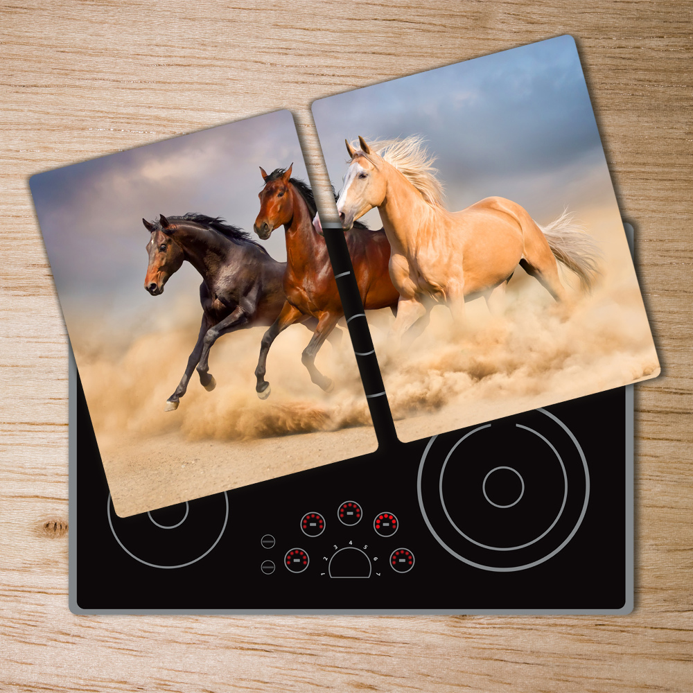 Protection plaque induction Chevaux au galop