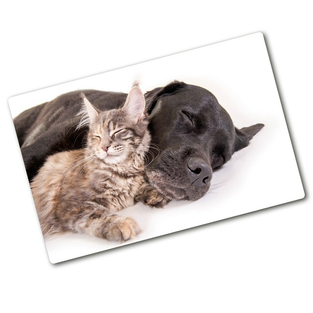 Protection plaque induction Chien avec chat