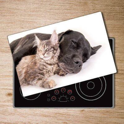 Protection plaque induction Chien avec chat