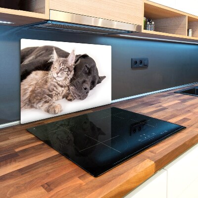 Protection plaque induction Chien avec chat