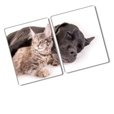 Protection plaque induction Chien avec chat