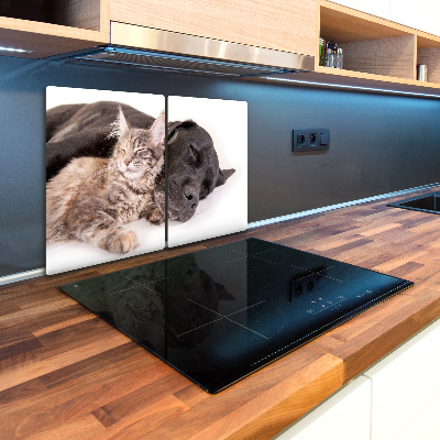 Protection plaque induction Chien avec chat