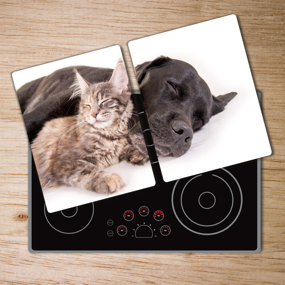 Protection plaque induction Chien avec chat