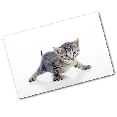 Protection plaque induction Petit chat