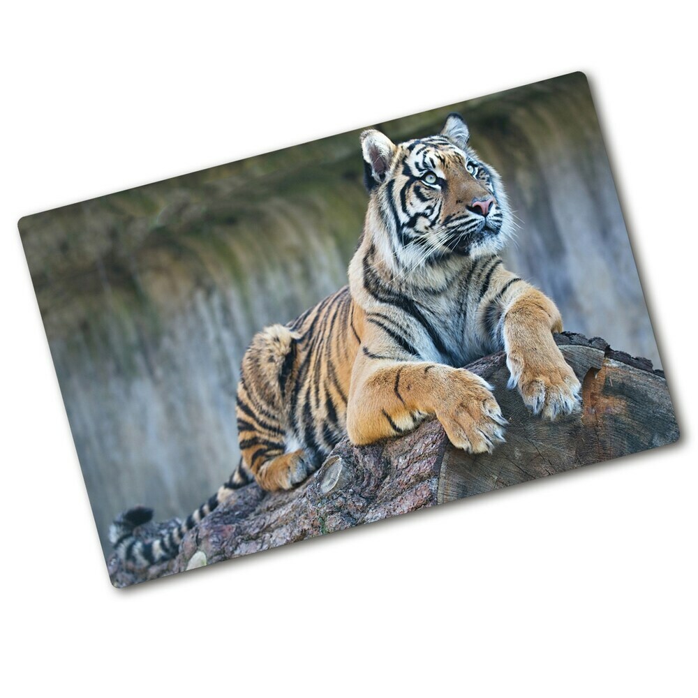 Protection plaque induction Tigre