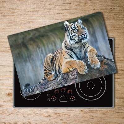 Protection plaque induction Tigre