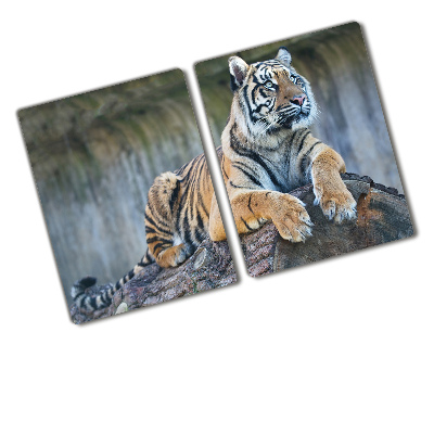 Protection plaque induction Tigre