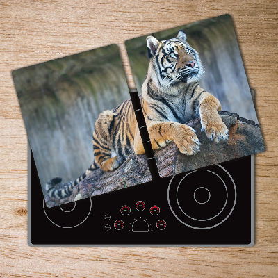 Protection plaque induction Tigre