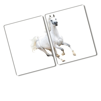 Protection plaque induction Cheval arabe blanc