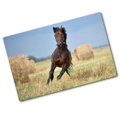 Protection plaque induction Cheval au galop