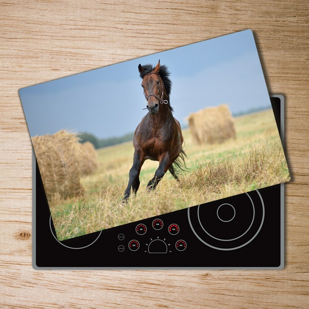 Protection plaque induction Cheval au galop