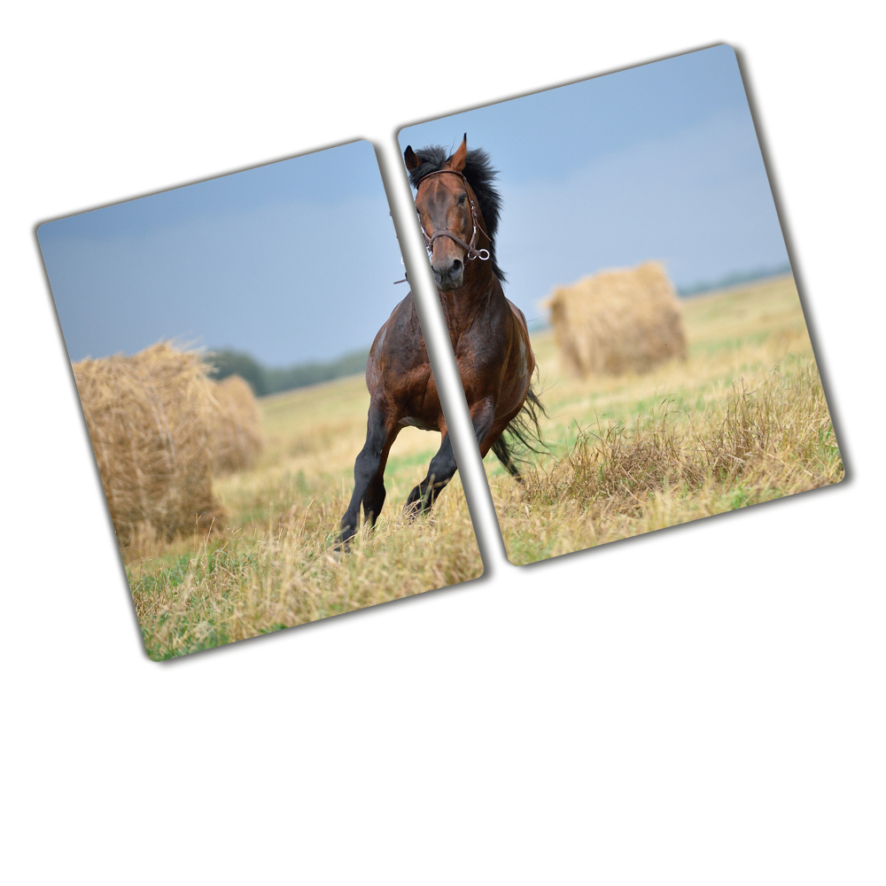 Protection plaque induction Cheval au galop