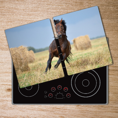 Protection plaque induction Cheval au galop