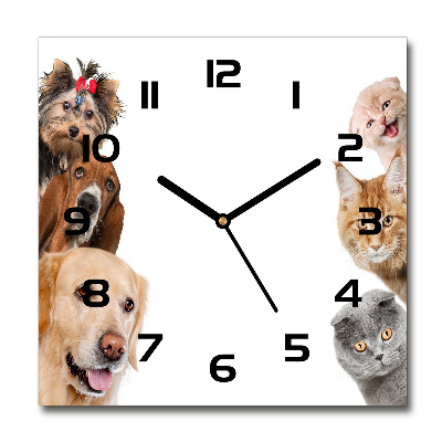 Horloge murale carrée Chiens et chats