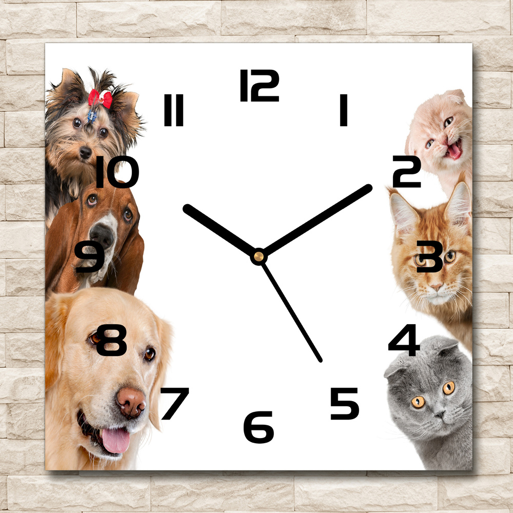 Horloge murale carrée Chiens et chats