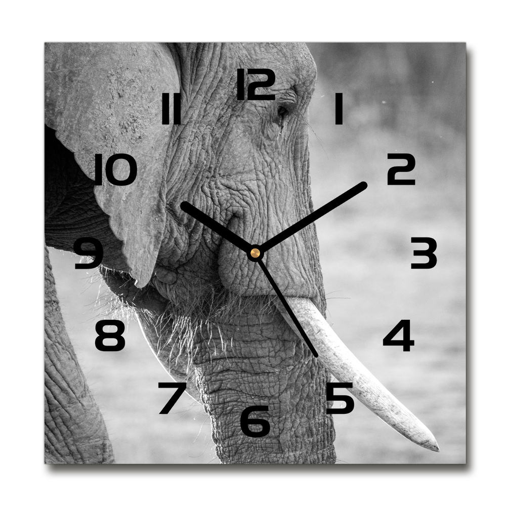 Horloge murale carrée Éléphant