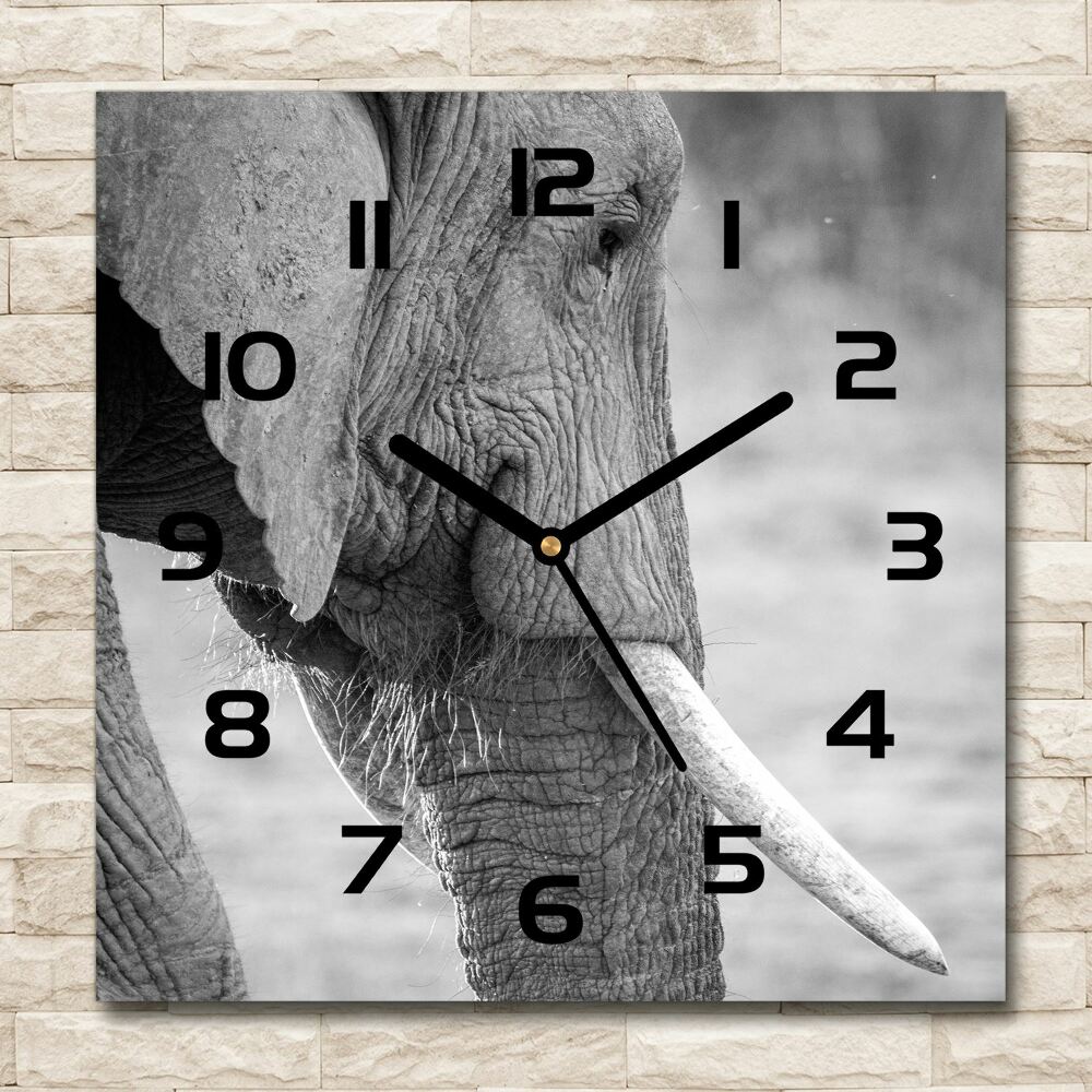 Horloge murale carrée Éléphant