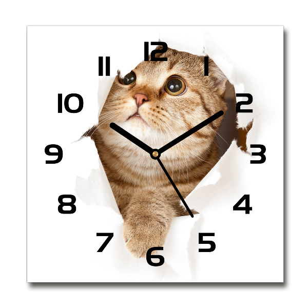 Horloge carrée en verre Chat